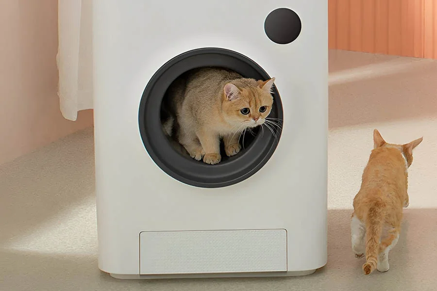 best litter box for 2 cats